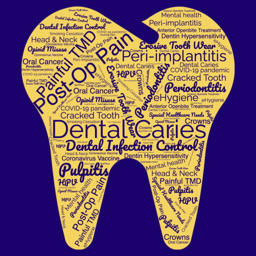 Structure, Function, And Productivity From The National Dental Practice-Based Research Network